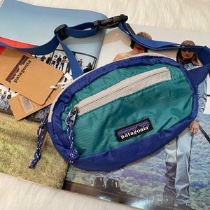 Patagonia Mini Hip Belt Bag